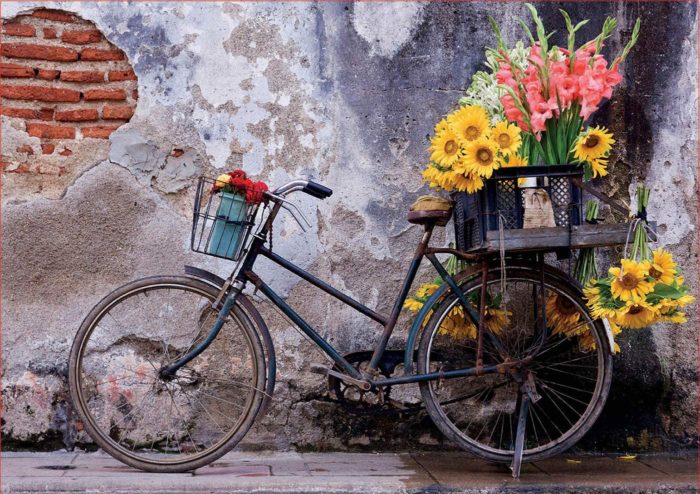 Bicyclette avec des fleurs (500 pièces)