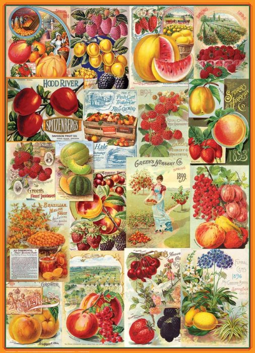 Catalogue de graines de Fruits (1000 pièces)