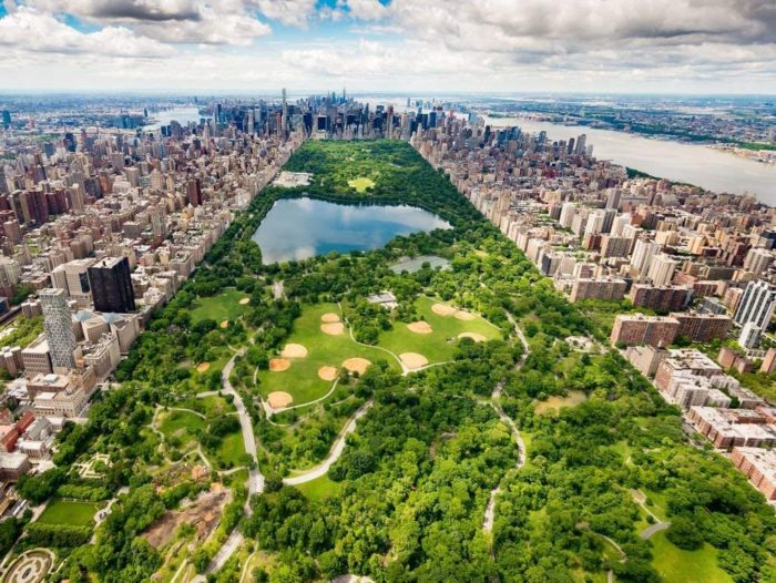 Central Park (1000 pièces)