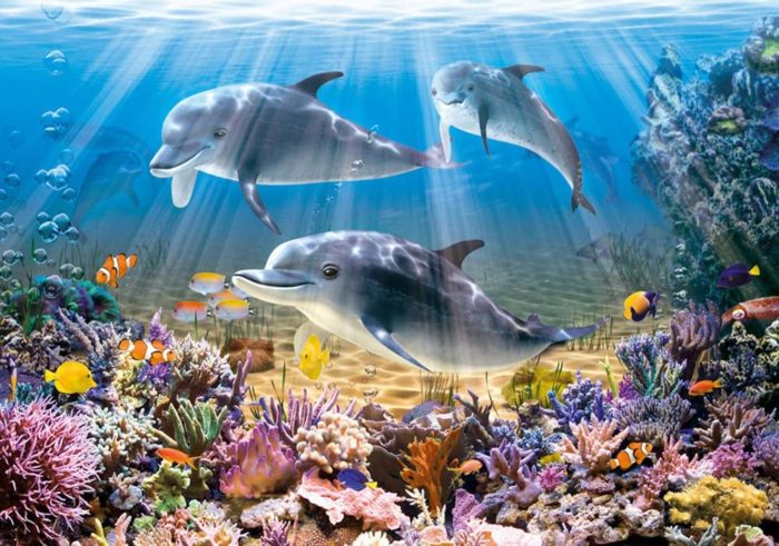 Dolphins Underwater,Puzzle 500 pièces