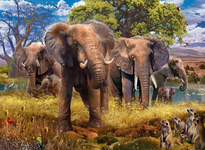 Famille d'éléphants 500 pièces