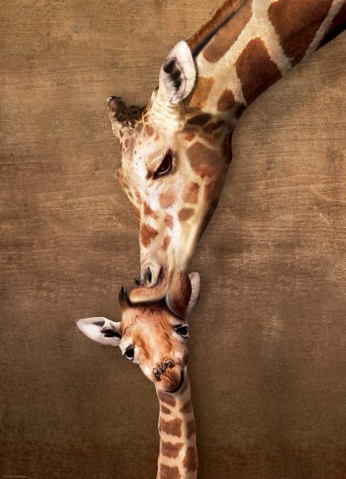 Girafe Mother Kiss MO 500 pièces