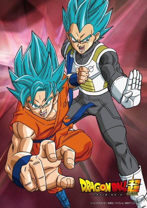 Goku & Vegeta (100 pièces)