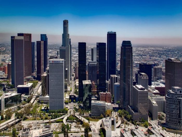 Gratte-ciels à Los Angeles (100 pièces) 2