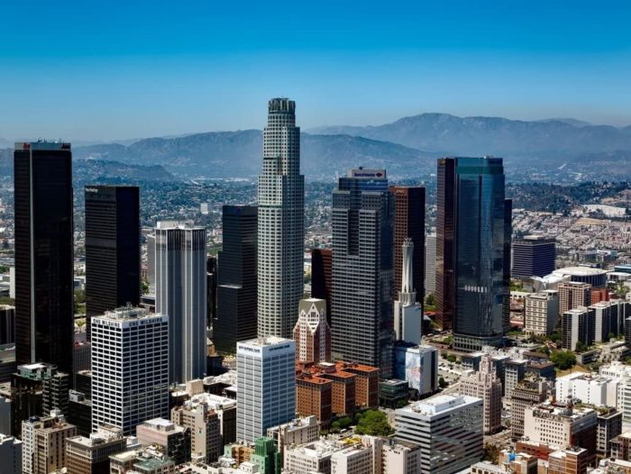 Gratte-ciels à Los Angeles (1000 pièces) 2