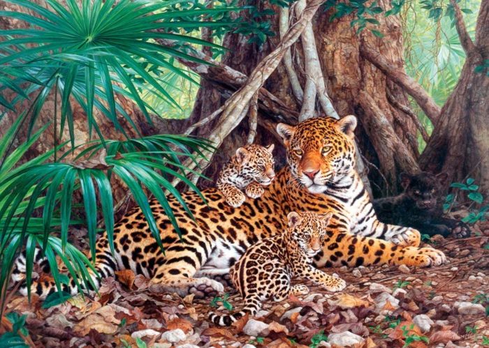 Jaguars dans la Jungle (3000 pièces)