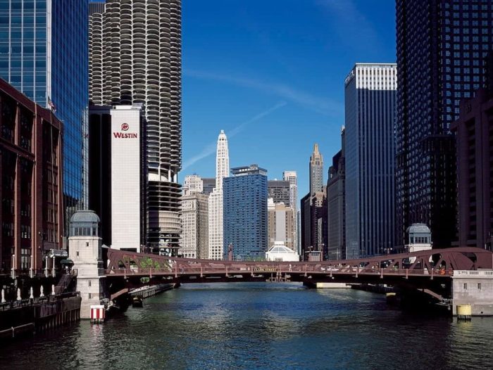 La rivière Chicago (1000 pièces)
