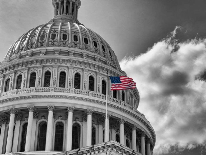 Le Capitole des États-Unis en noir et blanc (500 pièces)