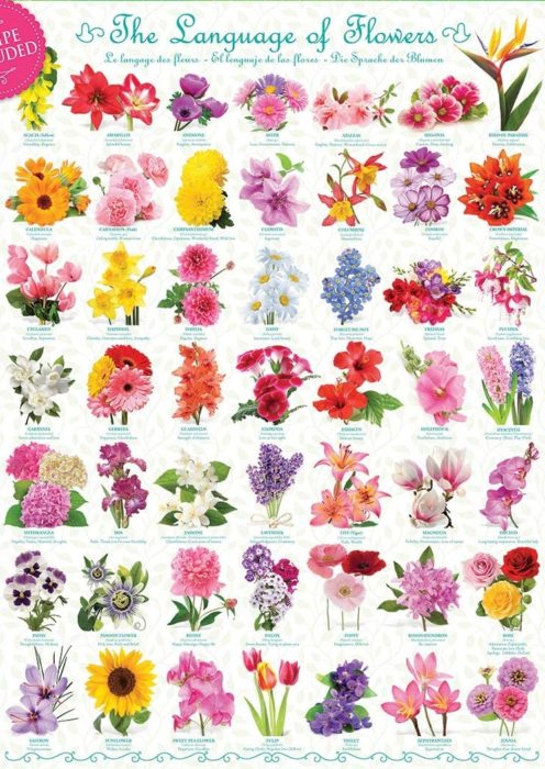 Le langage des fleurs (1000 pièces)