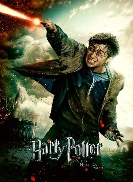 Le monde fantastique d’Harry Potter (100 pièces)
