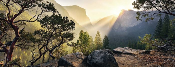 Le parc national de Yosemite (1000 pièces)