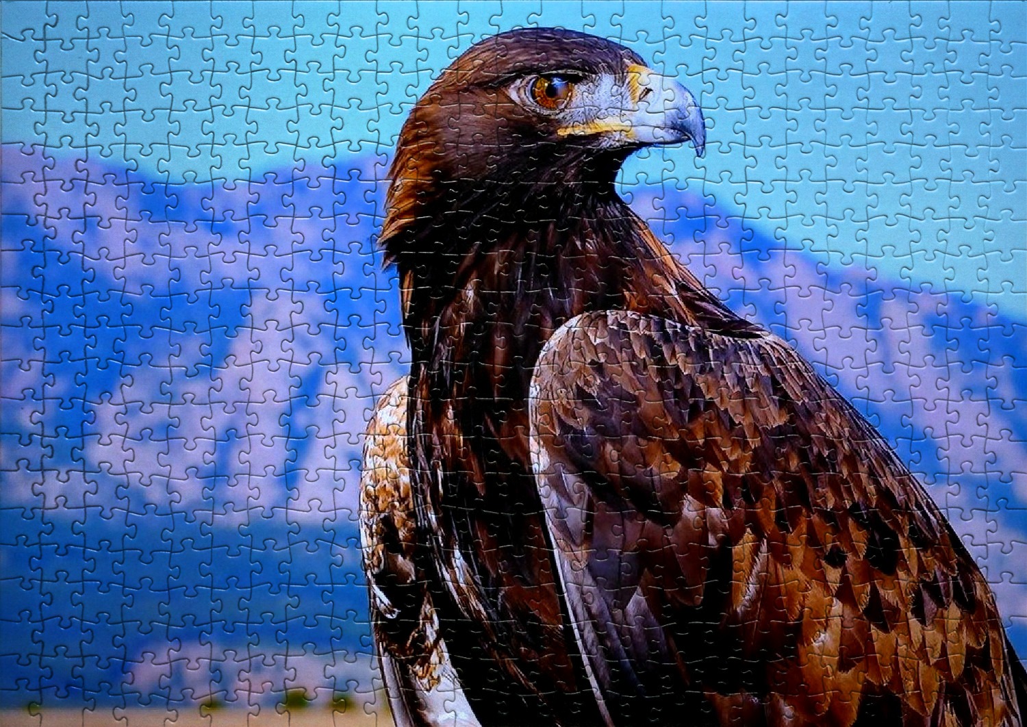 Les aigles en puzzles