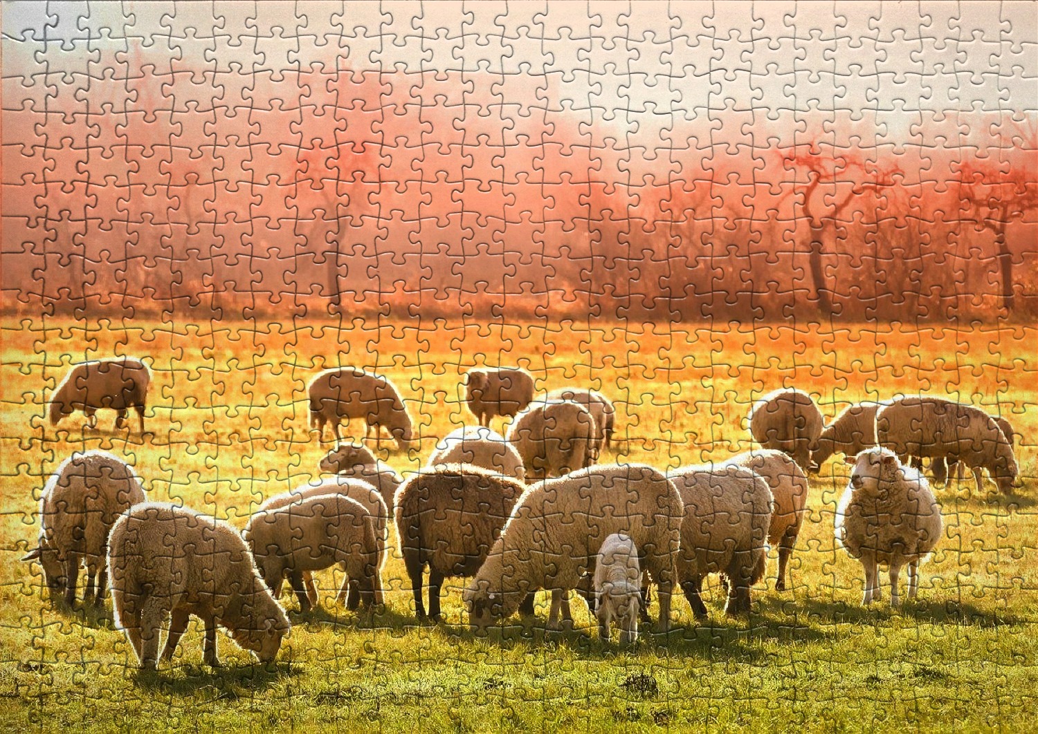 Les moutons en puzzles