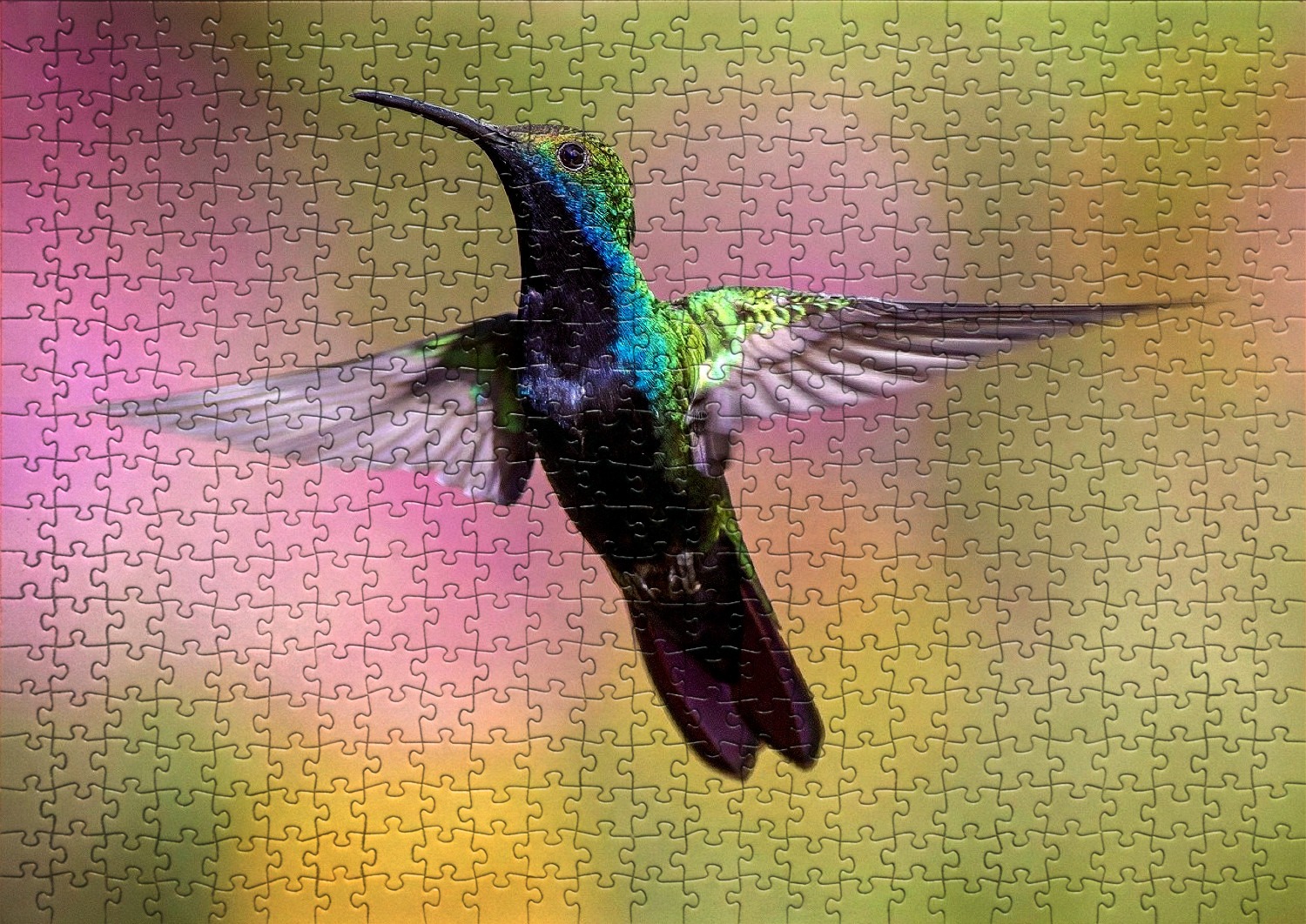 Les oiseaux en puzzles