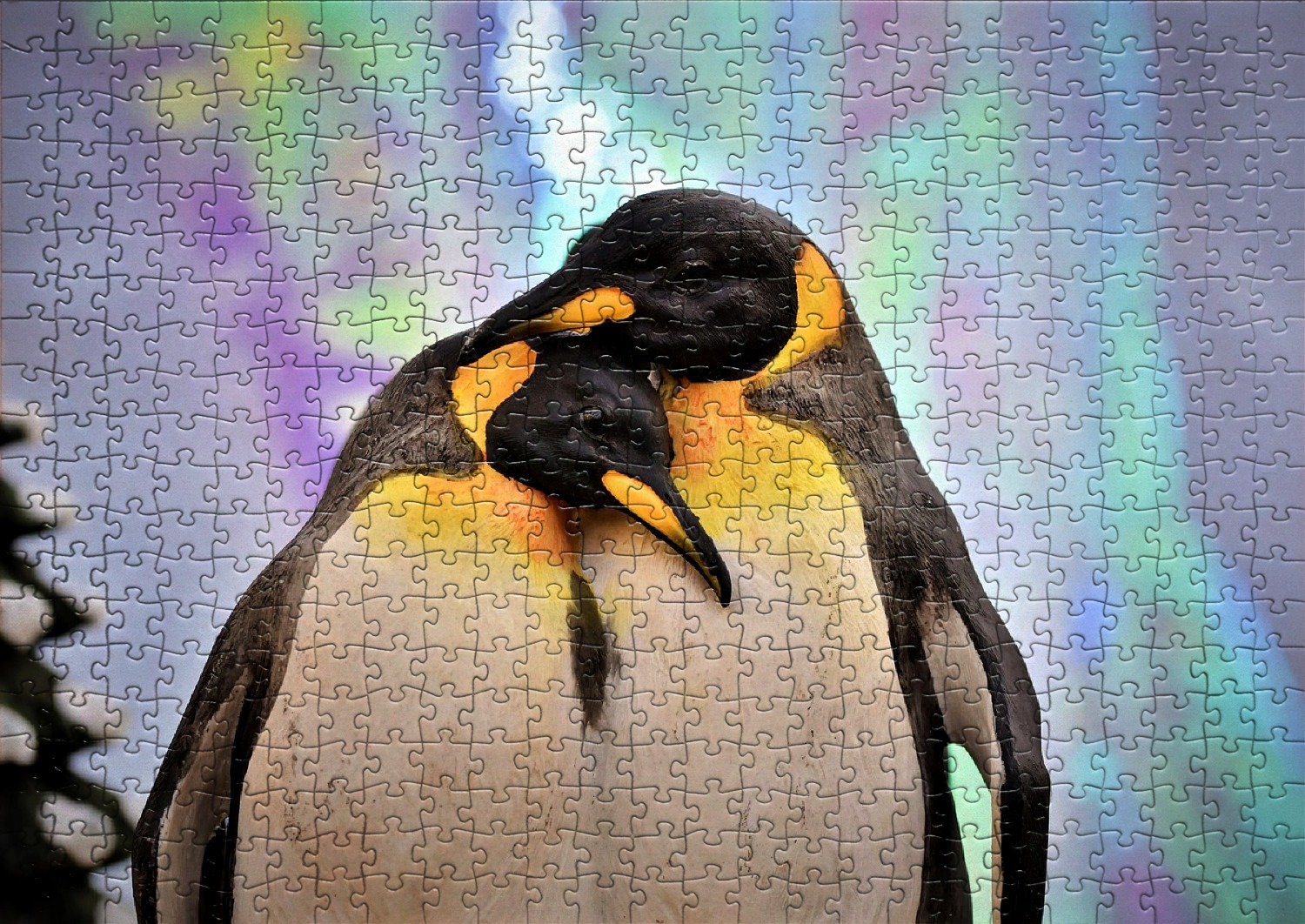 Les pingouins et manchots en puzzles