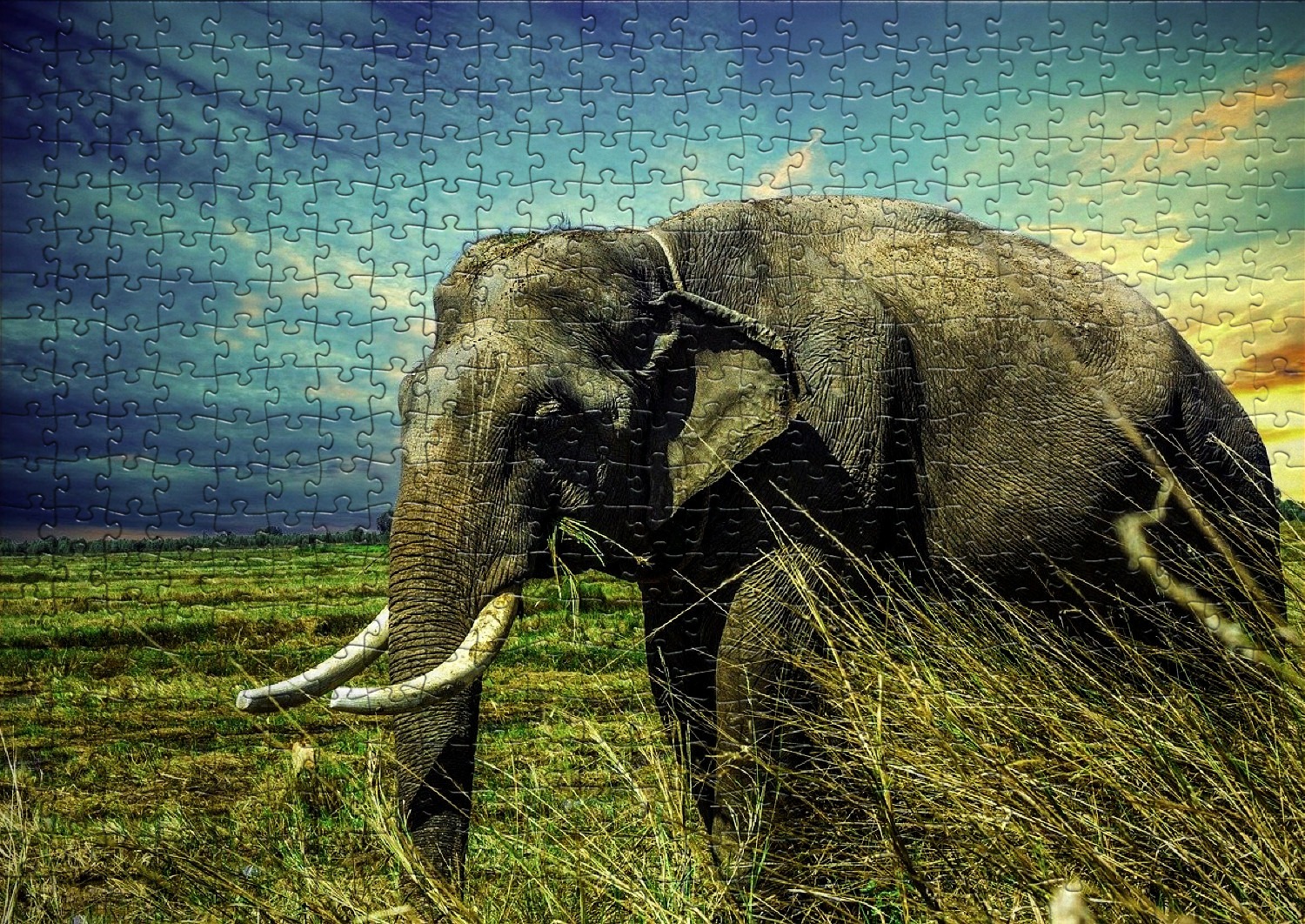 Les éléphants en puzzles