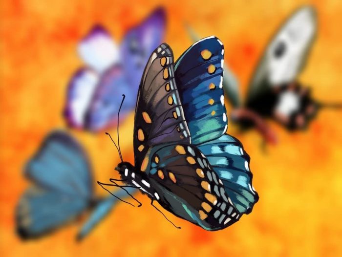 Papillon 1000 Pieces 2