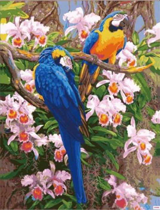 Parrots and Orchids (1500 pièces)