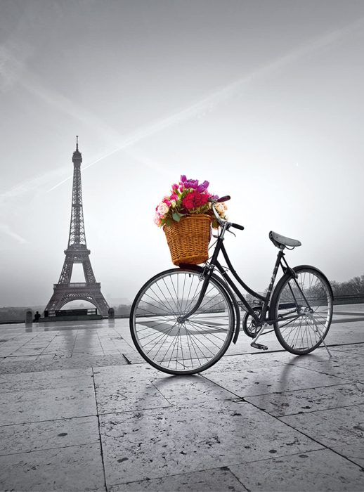Promenade romantique à Paris - 500 Pièces