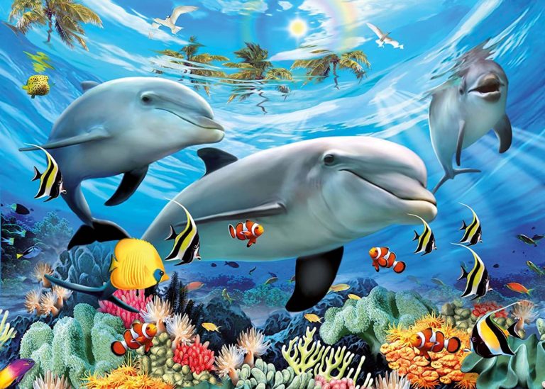 Des dauphins sautent de l'eau au coucher du soleil. | Photo Premium Des dauphins sautent de l'eau au coucher du soleil. | Photo Premium