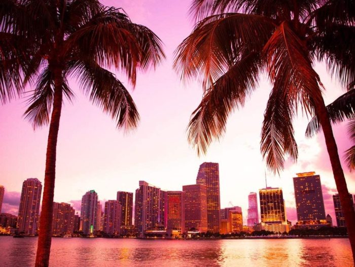 Skyline de Miami (100 pièces)