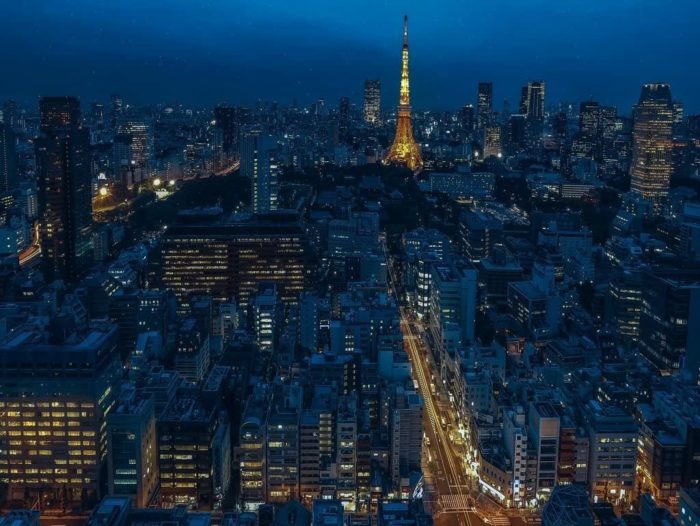 Tokyo de nuit (1000 pièces)