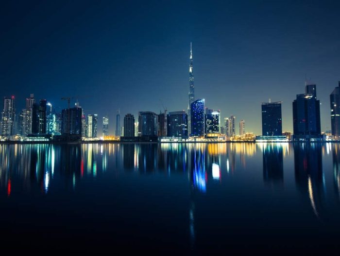 Vue sur Dubaï de nuit (1000 pièces)