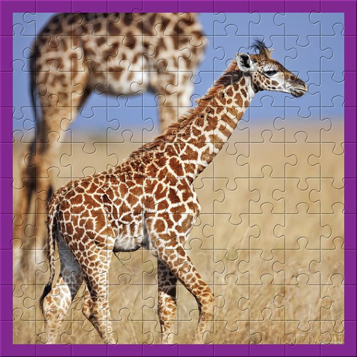 WWF Puzzle 100 pièces