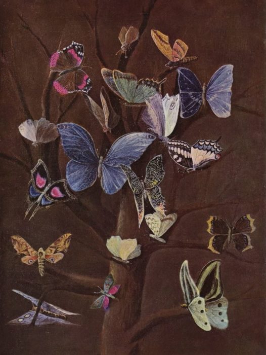 Wilhelm Von Kaulbach - Papillons 1000 Pieces
