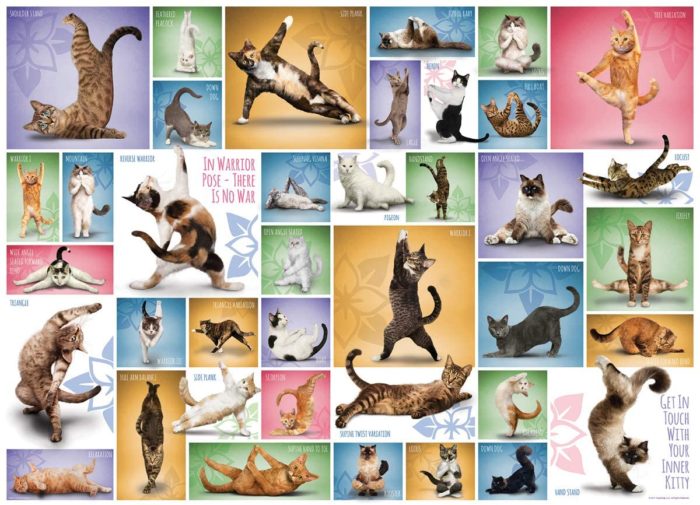 Yoga Cats (1000 pièces)
