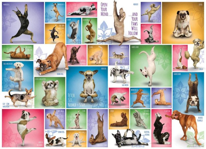 Yoga Dogs 1000 pièces
