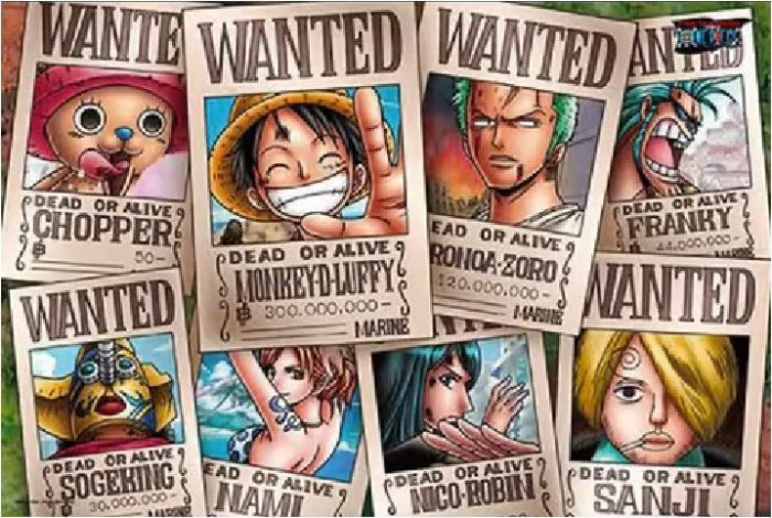 One Piece - Wanted (1000 pièces)