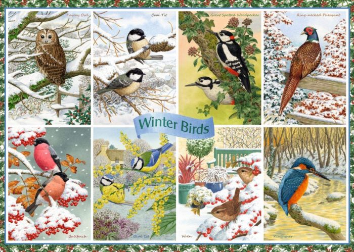 Winter Birds (1000 pièces)