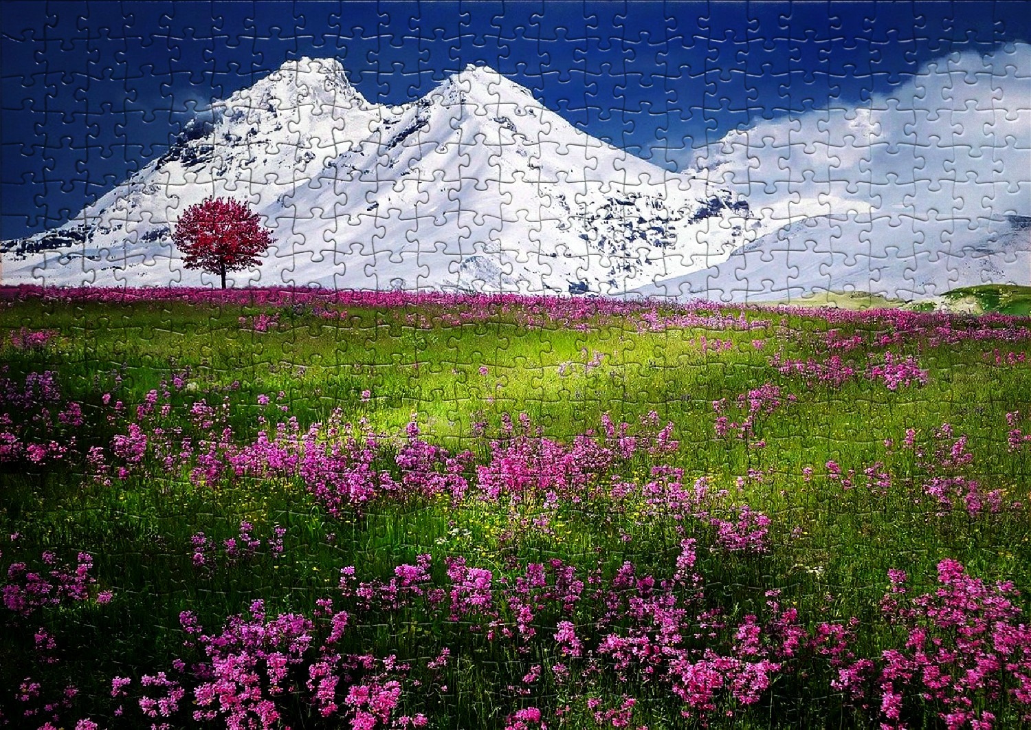 Paysages de montagnes - Liste de 66 puzzles