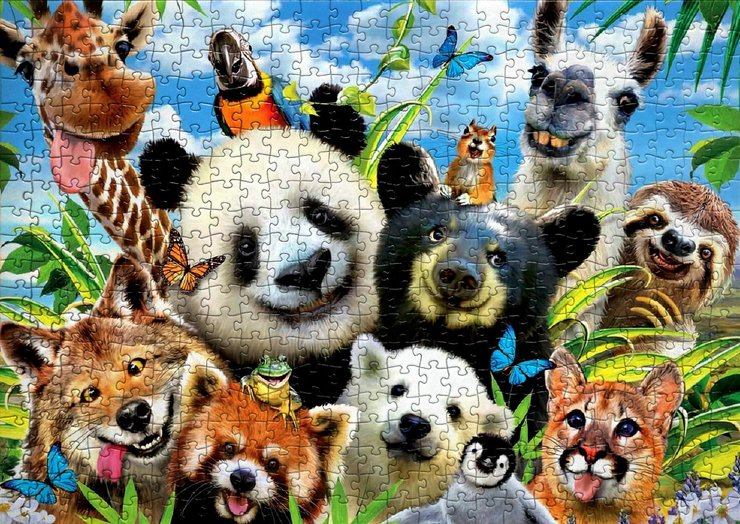 Selfie d'animaux - Liste de 14 puzzles