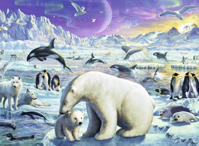 À la rencontre des animaux polaires (300 pièces)